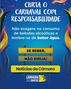 CARNAVAL SEGURO.